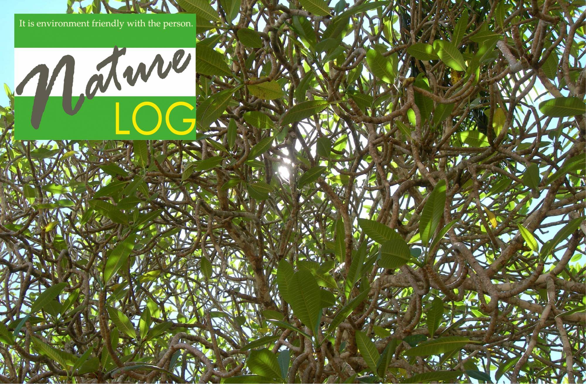 Nature LOG Webshop （ネイチャーログ ウェブショップ）